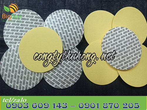 Màng seal được tráng keo và phủ giấy lót