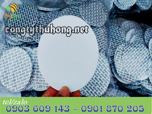 Màng seal tự dính có tráng keo mỏng không phủ giấy