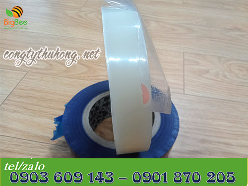 Mẫu màng dán trong suốt và màng dán xanh