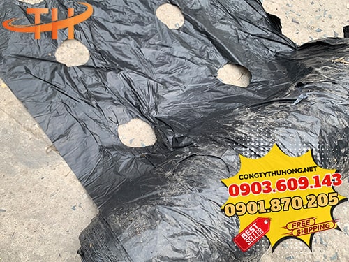 Màng phủ nông nghiệp đục lỗ Mối sỉ màng phủ nông nghiệp