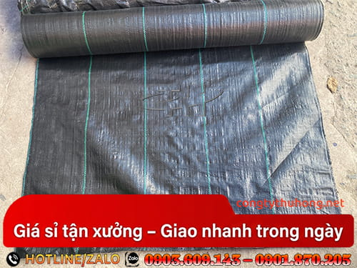 bạt diệt cỏ Mua bạt diệt cỏ