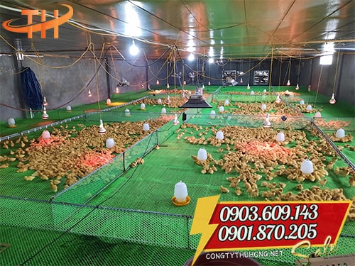 Lưới nhựa mắt cáo Mua lưới nhựa mắt cáo