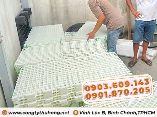 sàn nhựa chăn nuôi Mua sàn nhựa chăn nuôi giá rẻ
