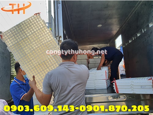 Mua sàn nhựa chăn nuôi ở đâu Mua sàn nhựa chăn nuôi ở đâu