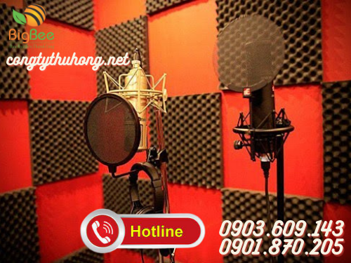 Múc trứng tiêu âm phòng thu