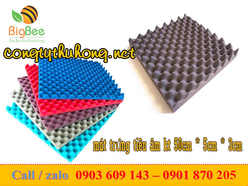 Mút trứng tiêu âm vuông kt 50cm * 50cm * 3cm