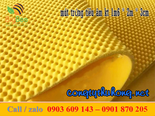 Mút xốp trứng gà tiêu âm kt 1m6 * 2m * 3cm