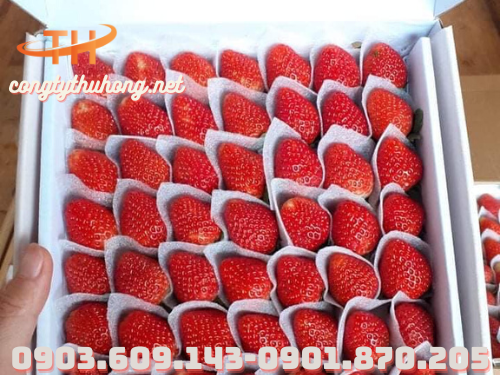 Mút xốp bảo vệ hoa quả