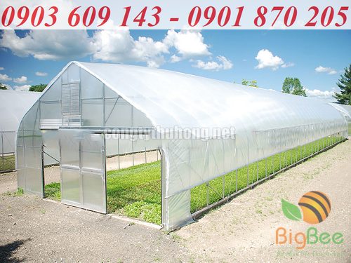 nhà kính được lắp đặt hoàn thiện