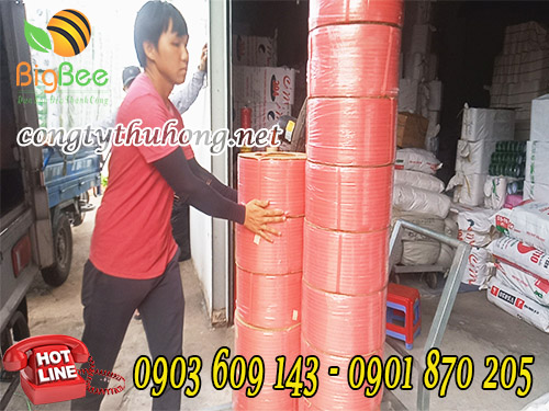 Nhân viên nhập kho dây đai nhựa