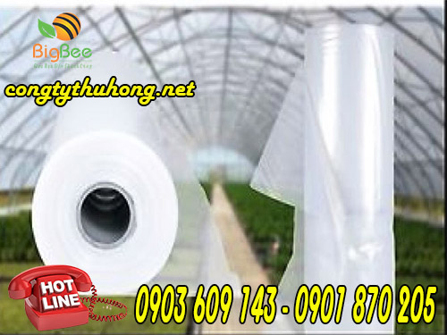 Màng nilon lợp mái vườn ươm, làm nhà kính