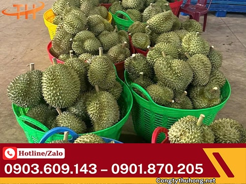 Cần xé nhựa Nơi bán cần xé nhựa bền