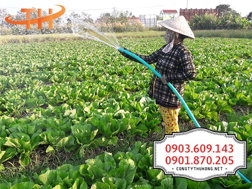 Ống nhựa dẻo tưới cây Ống nhựa dẻo tưới cây