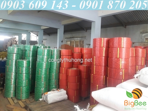 dây đai nhựa pet