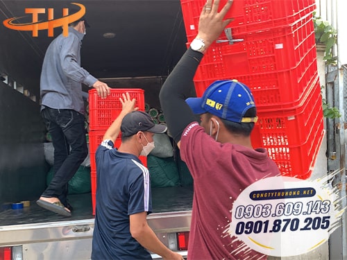 Rổ nhựa đựng xoài giá rẻ Rổ đựng xoài giá rẻ