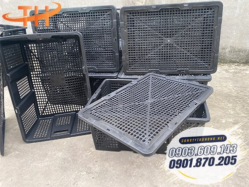 Rổ nhựa đựng xoài màu đen Rổ đựng xoài