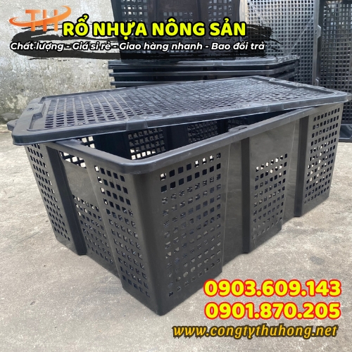 Rổ nhựa đựng nông sản giá rẻ TPHCM Rổ nhựa đựng nông sản giá rẻ TPHCM