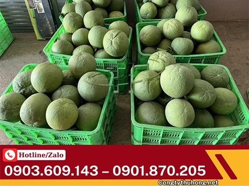 Rổ nhựa đựng nông sản Rổ nhựa đựng nông sản thoáng khí tốt