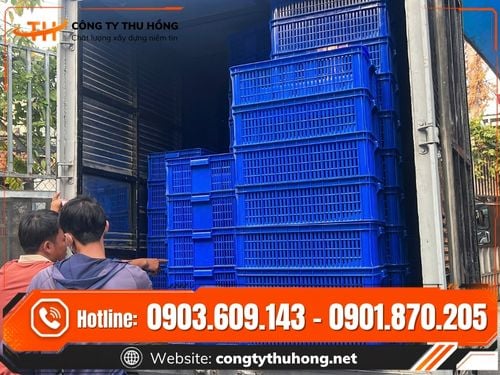 Rổ nhựa đựng trái cây Rổ nhựa đựng trái cây cho nhà vườn giá sỉ