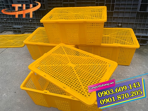 Rổ nhựa đựng trái cây có nắp đậy Rổ nhựa đựng trái cây có nắp đậy