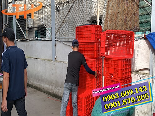 Rổ nhựa đựng trái cây Rổ nhựa đựng trái cây giá rẻ