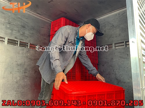 Rổ nhựa đựng trái cây giá rẻ Rổ nhựa đựng trái cây giá rẻ