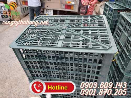 Rổ nhựa đựng trái cây