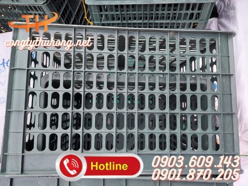 Rổ nhựa đựng xoài 25kg