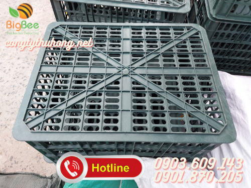 Rổ nhựa đựng xoài 30kg