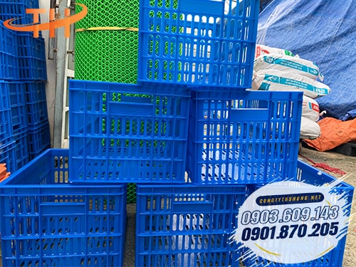 Rổ nhựa đựng xoài màu xanh Rổ nhựa đựng xoài giá rẻ