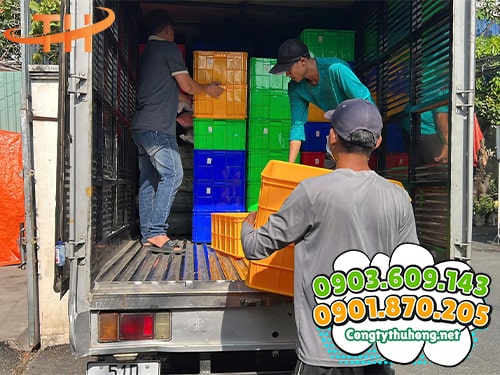 Rổ nhựa giá sỉ Rổ nhựa mua ở đâu giá sỉ