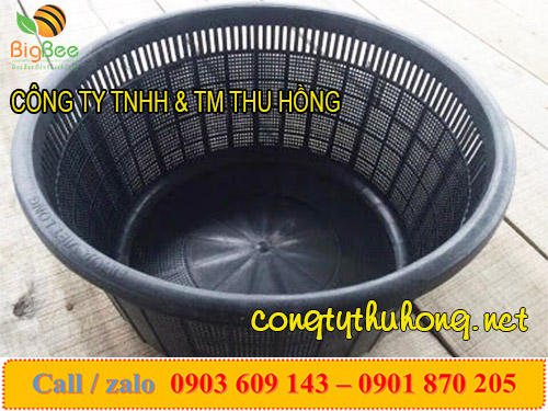 Rổ nhựa nuôi ngao, rổ nuôi hải sản