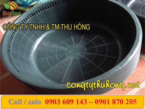 Rổ nhựa nuôi ngao được thiết kế nan thưa