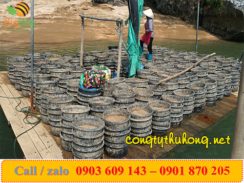 rổ nhựa nuôi ngao