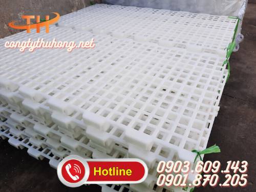 Sàn chăn nuôi dê khổ 50x100cm