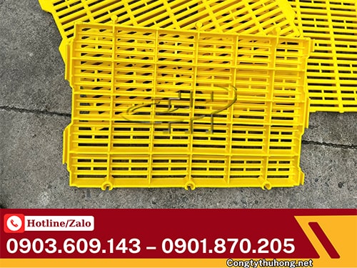 Sàn nhựa chăn nuôi Sàn chăn nuôi