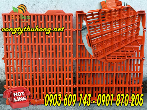 Tấm nhựa lót sàn nuôi heo