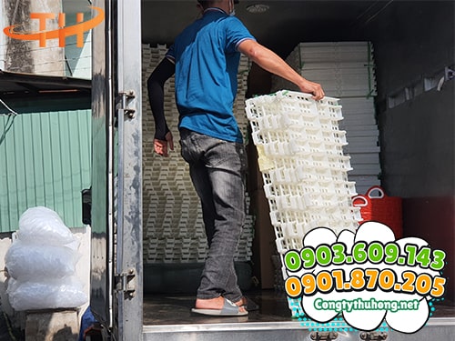 Sàn nhựa chăn nuôi Sàn nhựa chăn nuôi có những loại nào