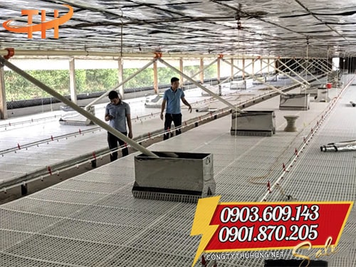 Sàn nhựa chăn nuôi Sàn nhựa chăn nuôi gà vịt