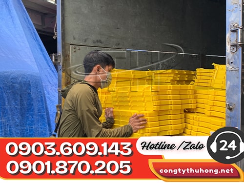 Sàn nhựa chăn nuôi sàn nhựa chăn nuôi giá rẻ