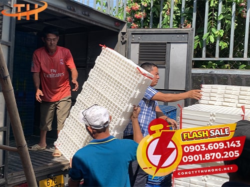 Sàn nhựa chăn nuôi giá sỉ Sàn nhựa chăn nuôi giá sỉ