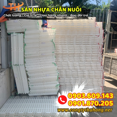 Sàn nhựa chăn nuôi giá tốt Sàn nhựa chăn nuôi giá tốt