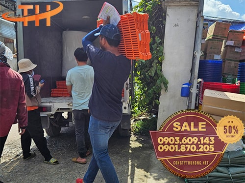 Sàn nhựa chăn nuôi heo đảm bảo chất lượng Sàn nhựa chăn nuôi heo đảm bảo chất lượng