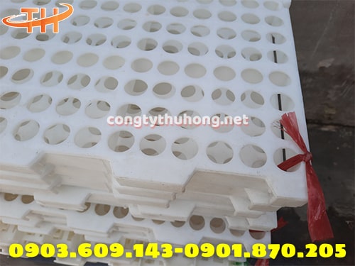 Sàn nhựa chăn nuôi lỗ tròn Sàn nhựa chăn nuôi lỗ tròn