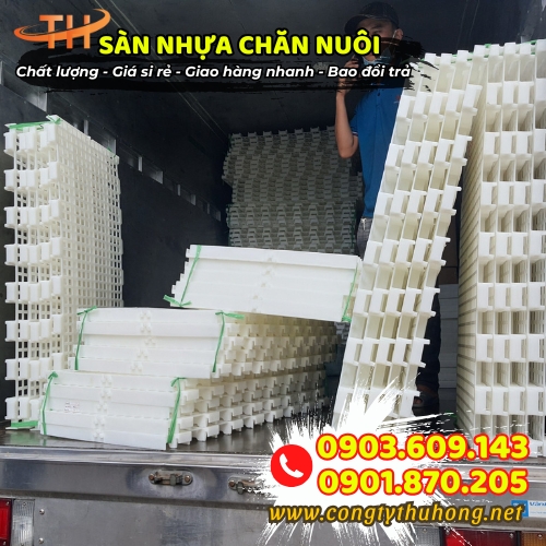 Sàn nhựa chăn nuôi ô lục giác giá tốt Sàn nhựa chăn nuôi ô lục giác giá tốt