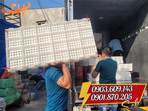 Sàn nhựa chăn nuôi Sàn nhựa chăn nuôi phù hợp cho heo gà vịt