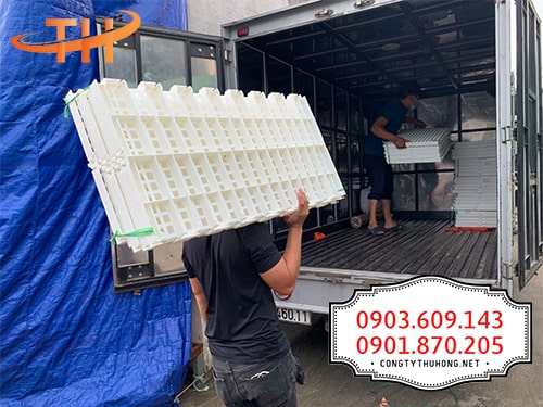 Sàn nhựa chăn nuôi tại tphcm Sàn nhựa chăn nuôi tại tphcm