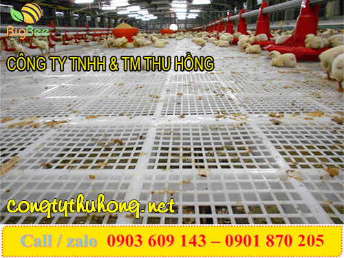 tấm nhựa ô vuông làm sàn