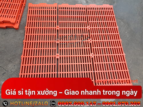 Sàn nhựa lưới ghép Sàn nhựa lưới ghép thoát nước nhanh