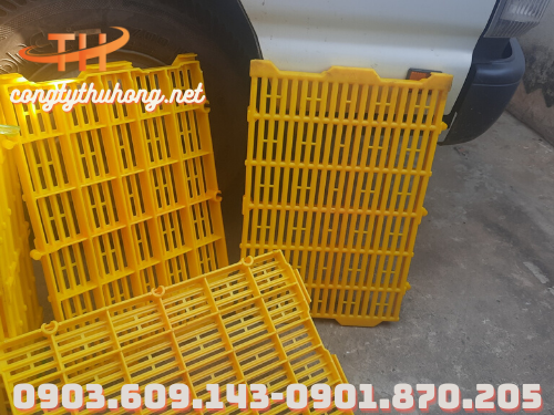 Sàn nhựa nuôi chó mèo